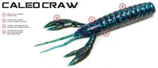 MOLIX CALEO CRAW