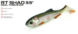 MOLIX RT SHAD 3.5'