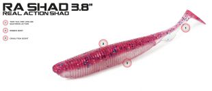 MOLIX RA-SHAD 3.8'