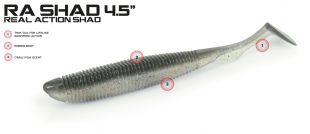 MOLIX RA-SHAD 4.5'